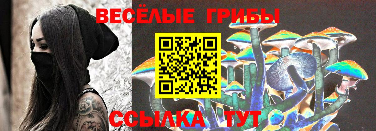 Новокубанск  Галлюциногенные грибы Psilocybe  Вход с VPN  Псилоцибиновые грибы прущие грибы 