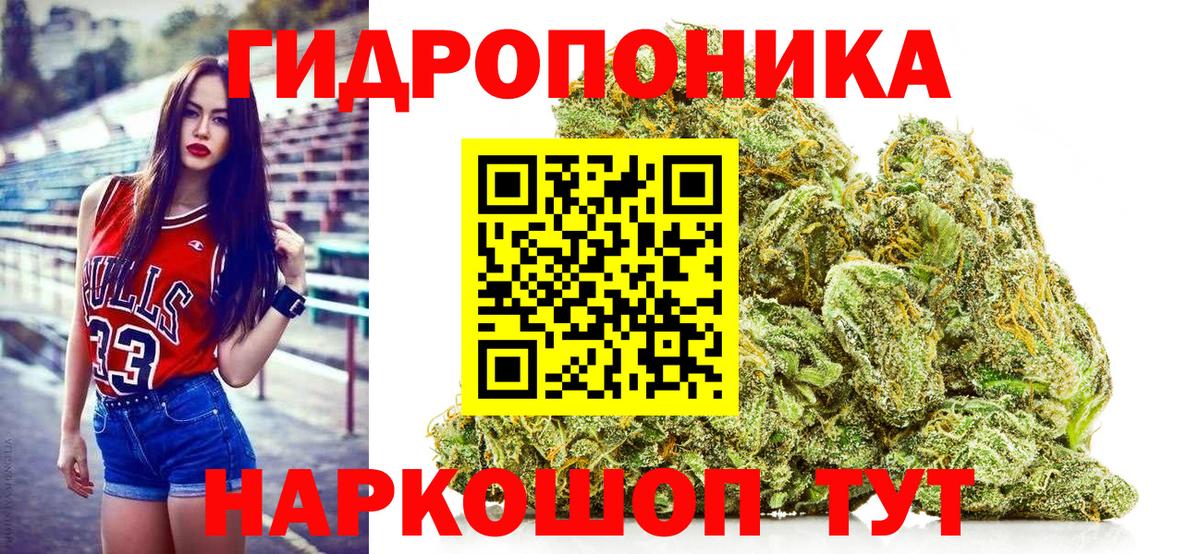 Бошки марихуана семена Новокубанск
